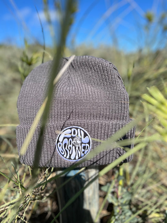 Foilbrained beanies